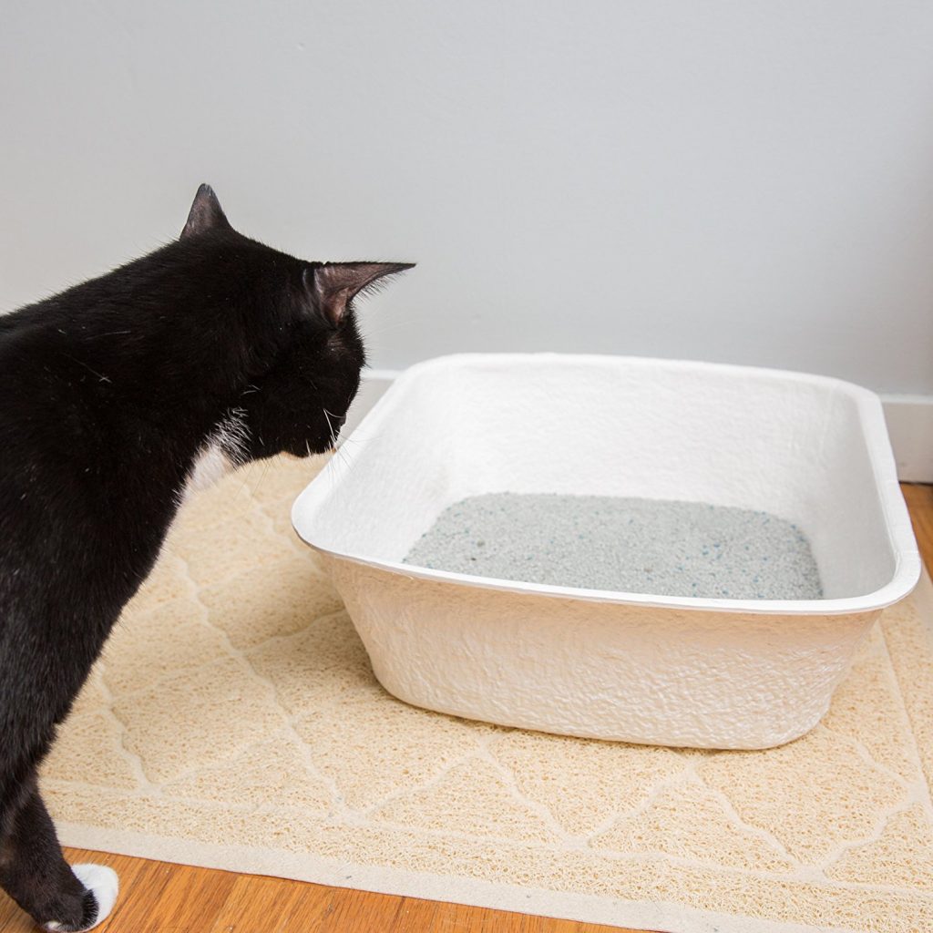 Large Disposable Cat Litter Boxes Traveling With Your Cat