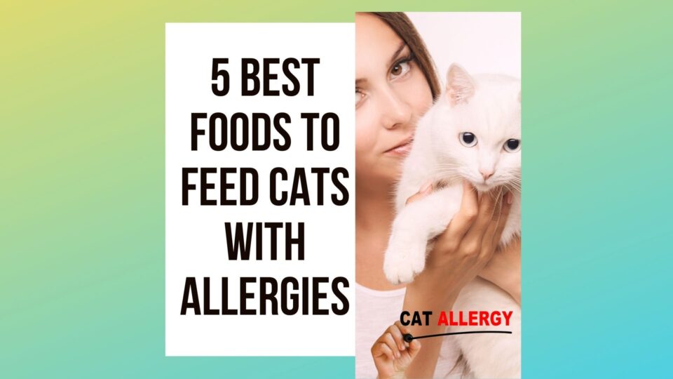 5 Best Cat Food with Allergies In Cats To Feed - Traveling With Your Cat