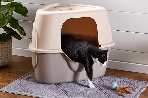 AmazonBasics Cat Litter Box