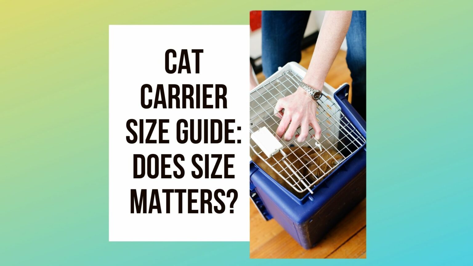 Cat Carrier Size Guide In 2022 Traveling With Your Cat