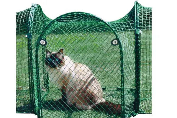 Make Your Patio Into A Catio A Guide To The Best Cat Enclosures