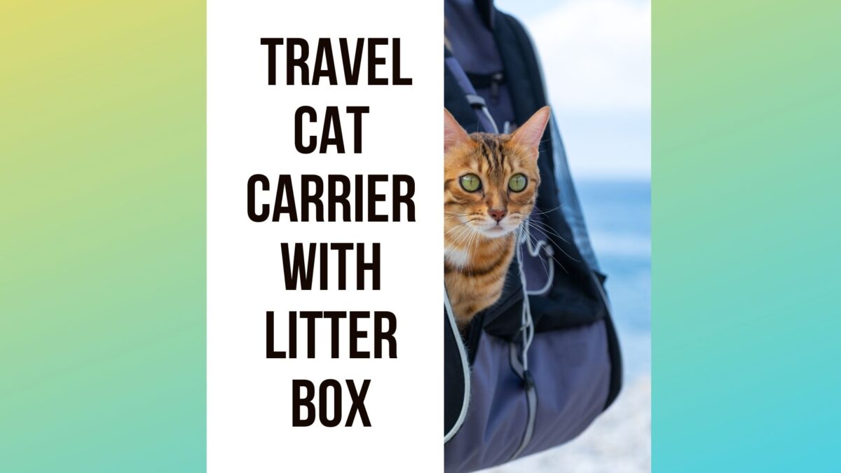 5 Best Travel Cat Carrier With Litter Box - Traveling With Your Cat