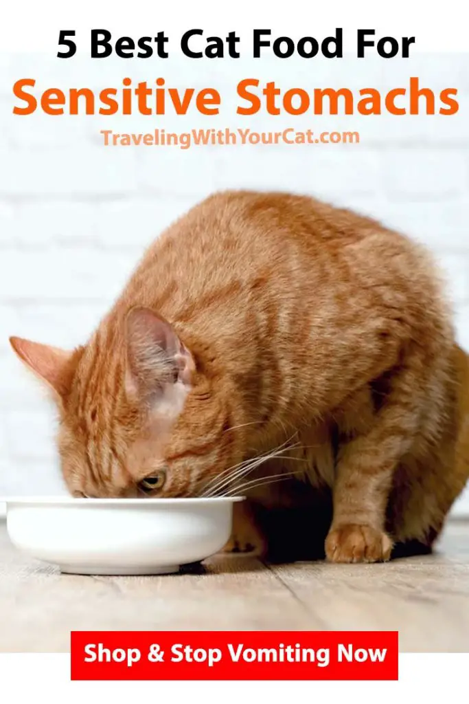 5-Best-Cat-Food-For-Sensitive-Stomachs | Traveling With Your Cat