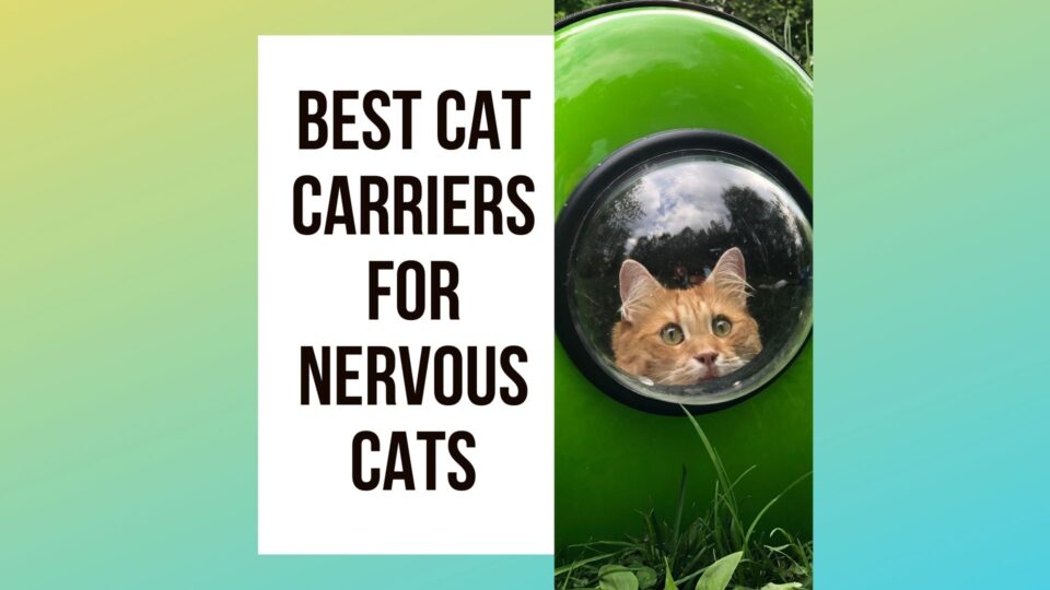 5-best-cat-carrier-for-nervous-cats-traveling-with-your-cat